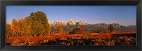 Framed Landscape in Grand Teton National Park WY Print