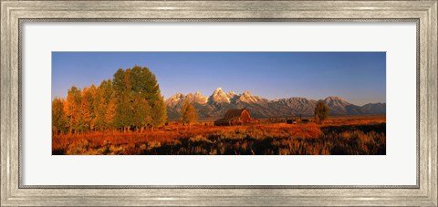 Framed Landscape in Grand Teton National Park WY Print