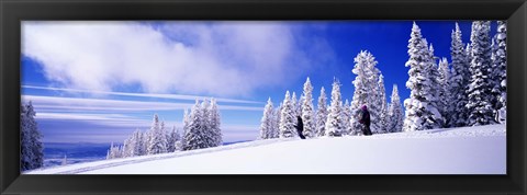 Framed Steamboat Springs, Colorado, USA Print