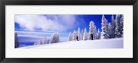 Framed Steamboat Springs, Colorado, USA Print