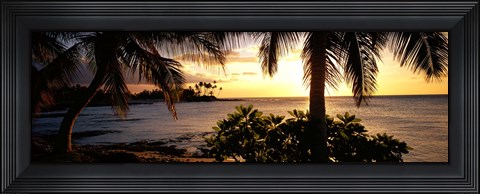 Framed Kohala Coast, Hawaii, USA Print