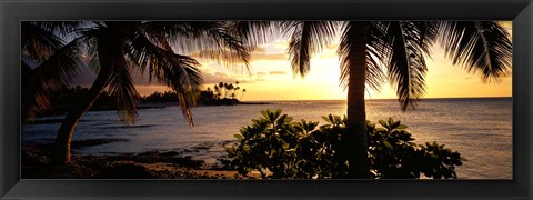 Framed Kohala Coast, Hawaii, USA Print