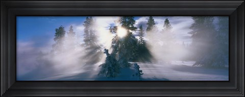 Framed West Thumb Geyser Basin Yellowstone National Park WY Print