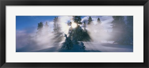 Framed West Thumb Geyser Basin Yellowstone National Park WY Print