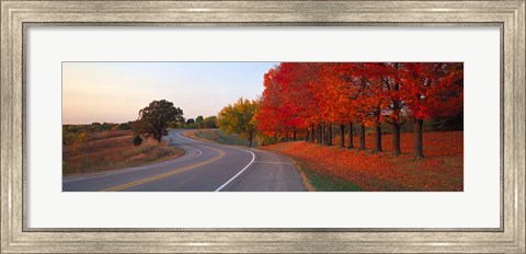 Framed Fall Road IL Print