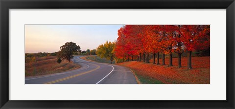 Framed Fall Road IL Print