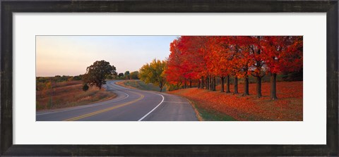 Framed Fall Road IL Print