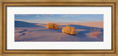 Framed USA, New Mexico, White Sands, sunset Print