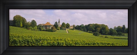 Framed WIne country with buildings in the background, Village near Geneva, Switzerland Print