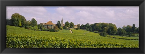 Framed WIne country with buildings in the background, Village near Geneva, Switzerland Print