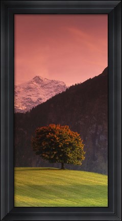 Framed Switzerland, Alps Print