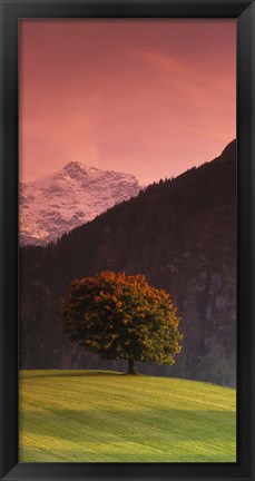 Framed Switzerland, Alps Print