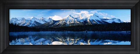 Framed Herbert Lake, Banff National Park, Alberta, Canada Print