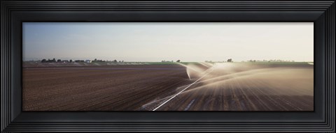 Framed USA, California, Central Valley, Irrigation in the field Print