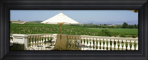 Framed Vineyards Terrace at Winery Napa Valley CA USA Print