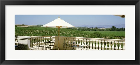 Framed Vineyards Terrace at Winery Napa Valley CA USA Print