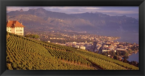 Framed Vineyard at a hillside, Lake Geneva, Vevey, Vaud, Switzerland Print