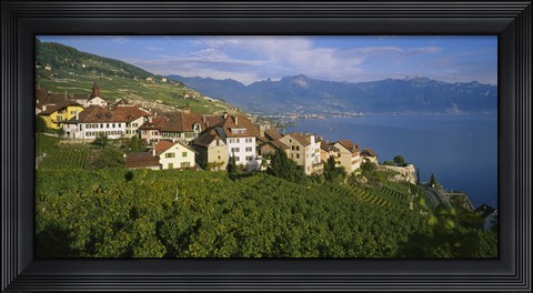 Framed Village Rivaz between Vineyards &amp; Mts. Lake Geneva Switzerland Print