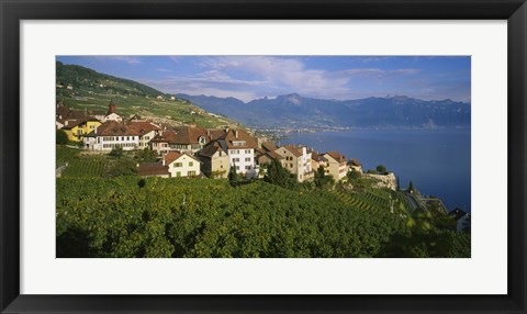 Framed Village Rivaz between Vineyards &amp; Mts. Lake Geneva Switzerland Print