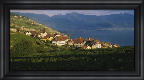 Framed Village on a hillside, Rivaz, Lavaux, Switzerland Print