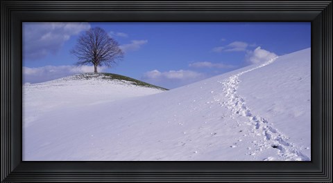 Framed Switzerland, View of a lone Linden tree on a hill Print