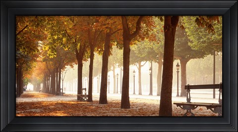 Framed France, Paris, Champs Elysees Print