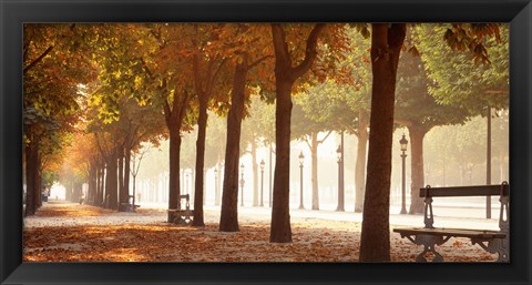 Framed France, Paris, Champs Elysees Print