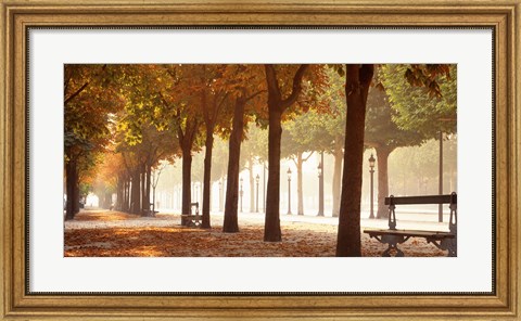 Framed France, Paris, Champs Elysees Print