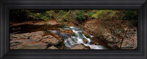 Framed White Water The Great Smoky Mountains TN USA Print