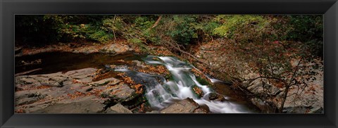 Framed White Water The Great Smoky Mountains TN USA Print