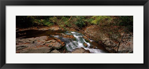 Framed White Water The Great Smoky Mountains TN USA Print