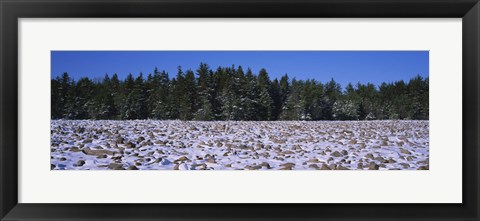 Framed Rocks in snow covered landscape, Hickory Run State Park, Pocono Mountains, Pennsylvania, USA Print