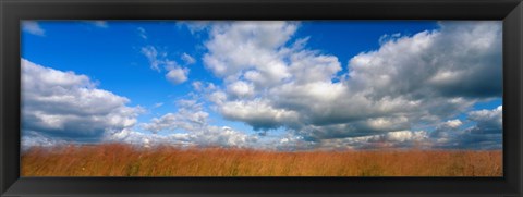 Framed Hayden Prairie, Iowa Print