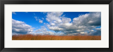 Framed Hayden Prairie, Iowa Print