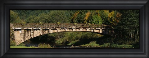 Framed Bridge in a forest, Black Forest, Germany Print