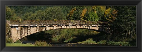 Framed Bridge in a forest, Black Forest, Germany Print