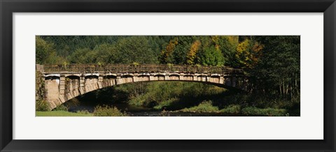 Framed Bridge in a forest, Black Forest, Germany Print