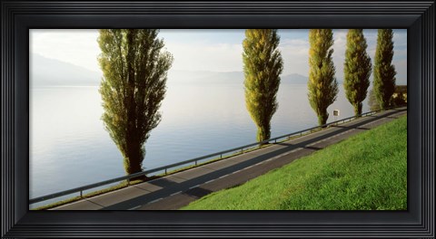 Framed Trees along a lake, Lake Zug, Switzerland Print