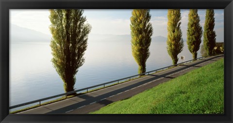 Framed Trees along a lake, Lake Zug, Switzerland Print