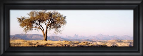 Framed Tree in a field with a mountain range in the background, Debre Damo, Tigray, Ethiopia Print