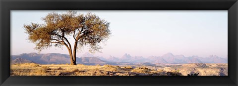 Framed Tree in a field with a mountain range in the background, Debre Damo, Tigray, Ethiopia Print