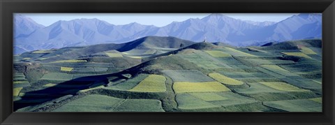 Framed Fields, Farm, Qinghai Province, China Print