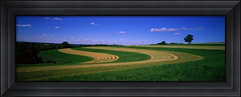 Framed Farmland IL USA Print