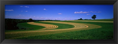 Framed Farmland IL USA Print