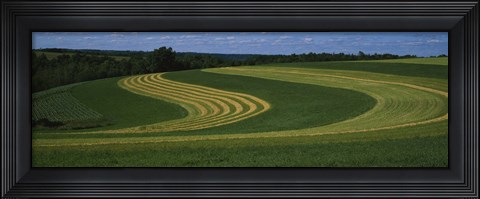 Framed Curving crops in a field, Illinois, USA Print