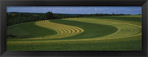 Framed Curving crops in a field, Illinois, USA Print