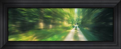 Framed Road, Greenery, Trees, Germany Print