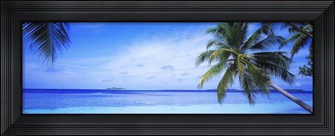 Framed Ocean, Island, Water, Palm Trees, Maldives Print