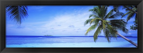 Framed Ocean, Island, Water, Palm Trees, Maldives Print