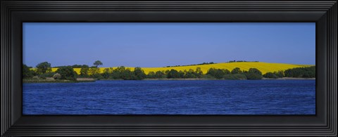 Framed Lake in front of a rape field, Holstein, Schleswig-Holstein, Germany Print